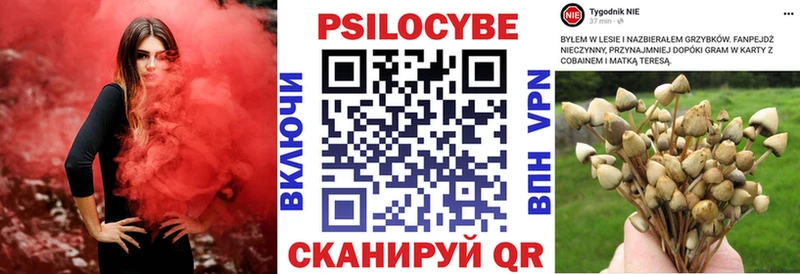 Галлюциногенные грибы мухоморы  где купить наркоту  Ковылкино 